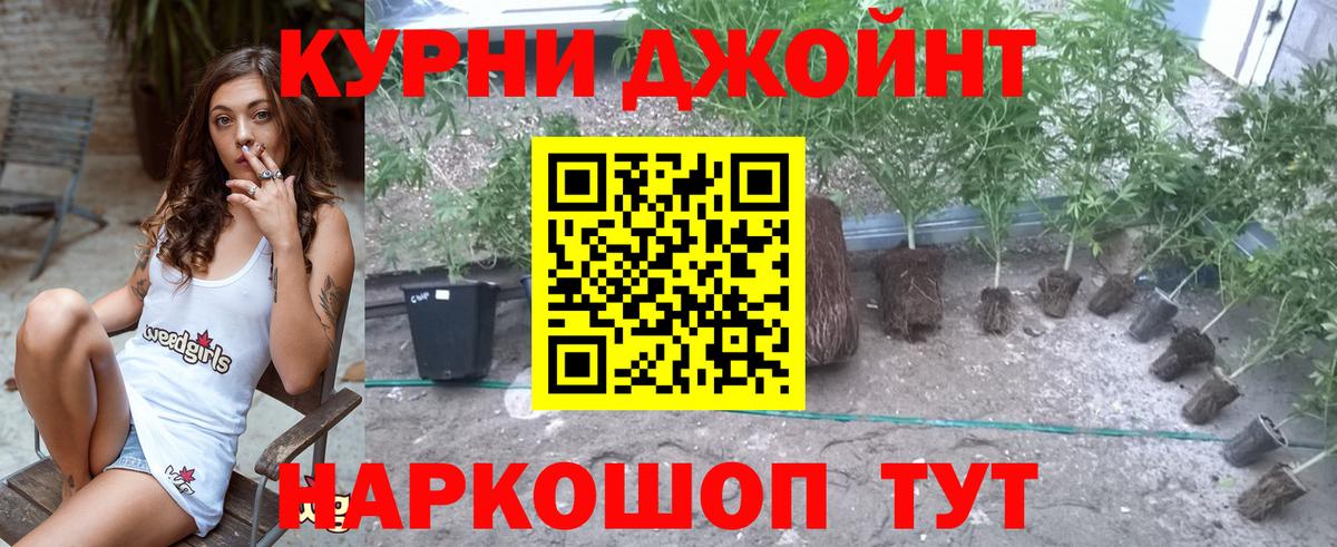 Бошки Шишки MAZAR Ейск